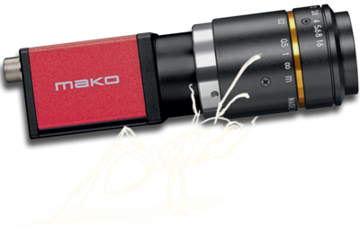 AVT相機系列之Mako G-131 搭載 Teledyne e2v EV76C560 傳感器